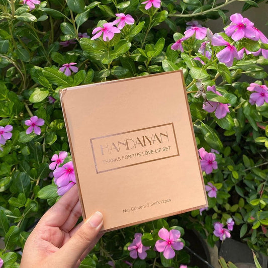 Handaiyan Matte Liquid Lipstick BUY 1 + 1 FREE BOX 🎁